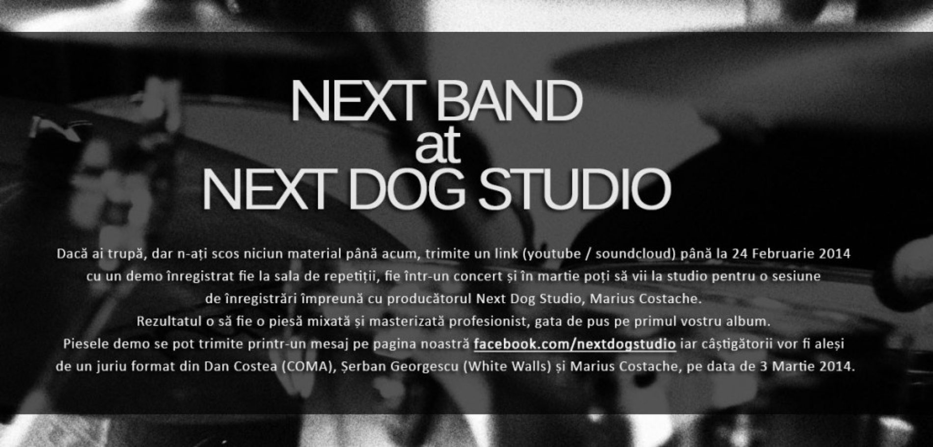 Concurs Next Dog Studio