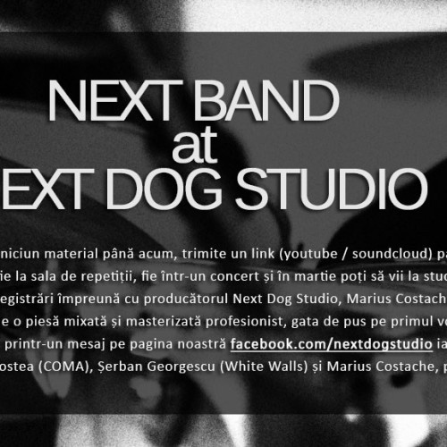 Concurs Next Dog Studio