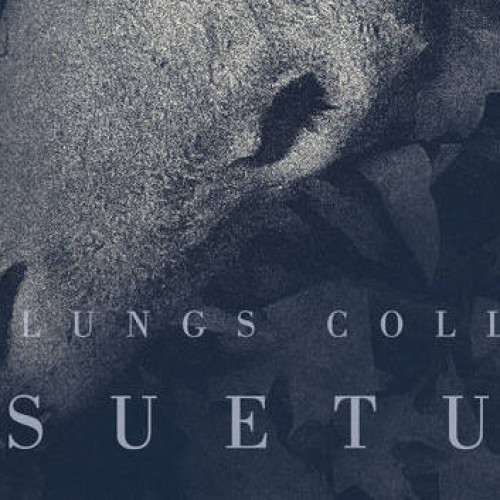 Till Lungs Collapse – Desuetude (stream integral EP debut)