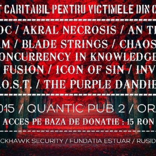 Concert caritabil pentru victimele din Colectiv in Quantic Pub 2