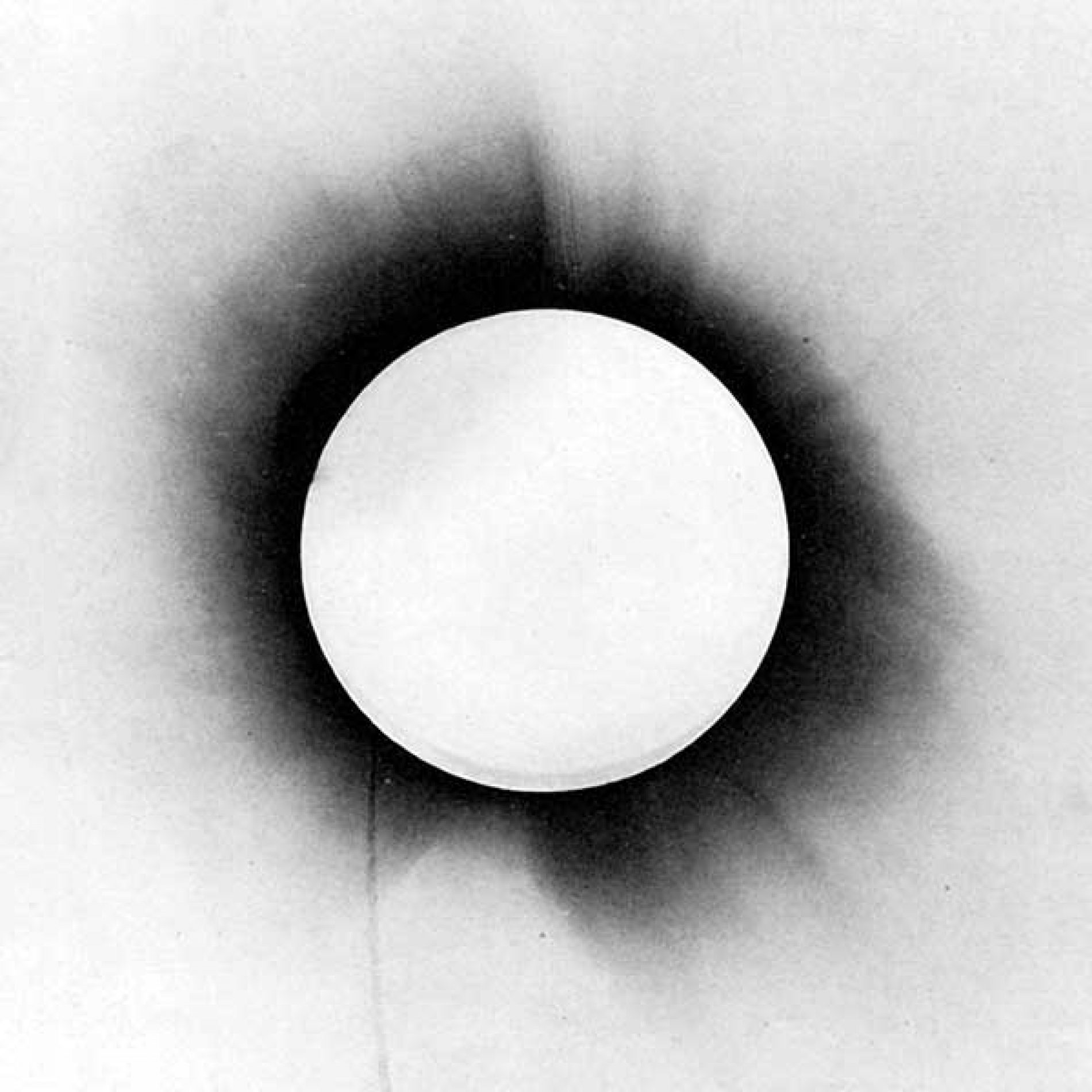 Architects – Gone With The Wind (videoclip nou)