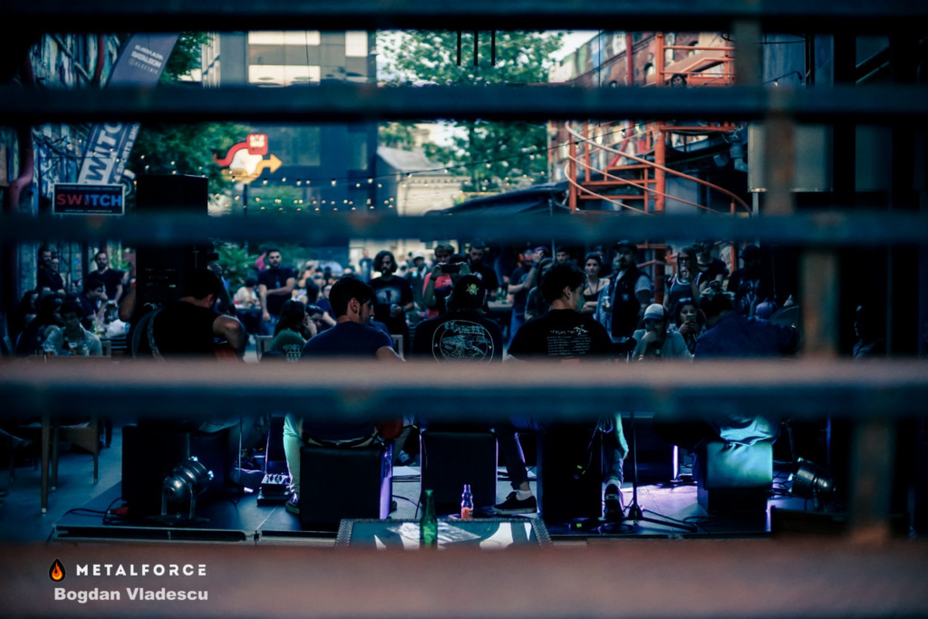 Cobra Fest 1.0: filmari de la eveniment