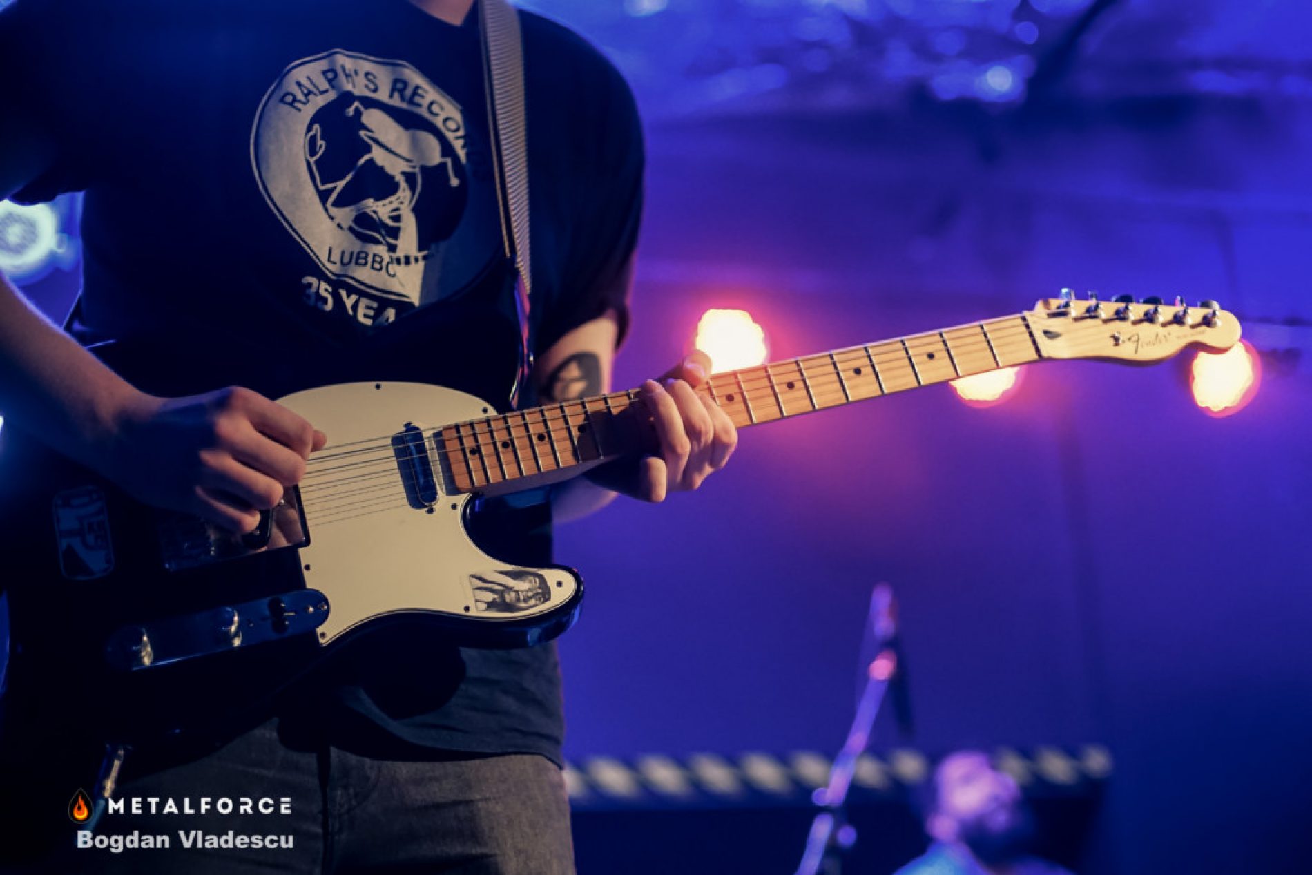 Cobra Fest 1.0: filmari de la eveniment