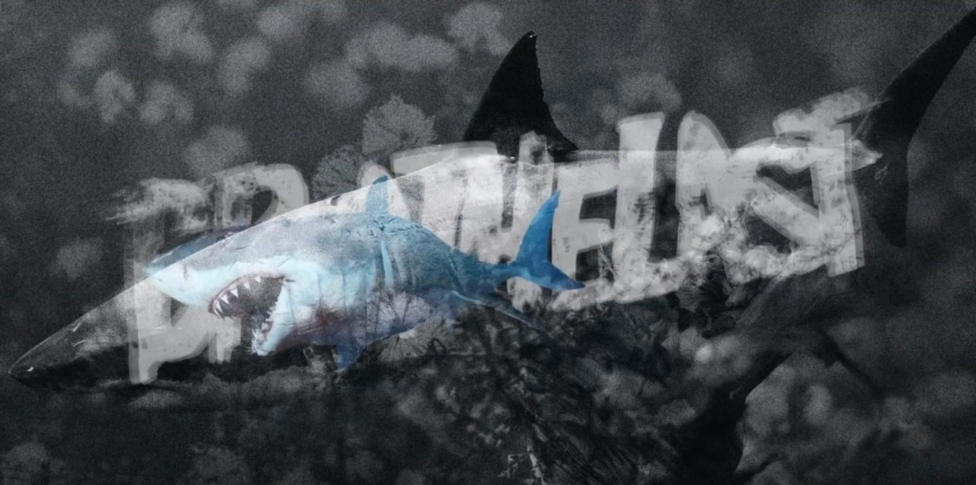 Breathelast: promo album nou (video)