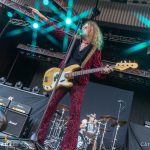 The Dead Daisies