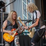 The Dead Daisies