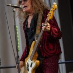 The Dead Daisies