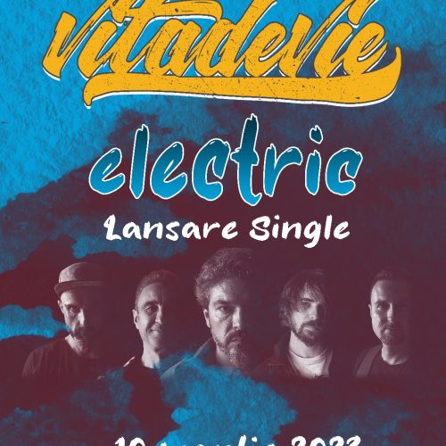 Concert Vița de Vie – Electric în Quantic