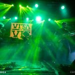 Vița de Vie