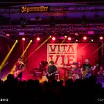 Vița de Vie