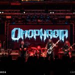 Omophagia