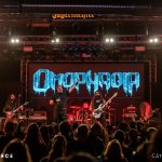 Omophagia