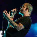 Pantera
