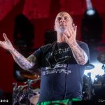 Pantera