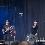 Stick to Your Guns