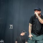 Stick to Your Guns