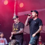 Stick to Your Guns