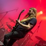 Carcass