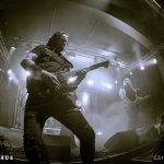 Sirenia