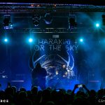 Harakiri for the Sky