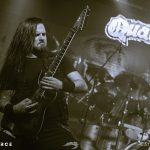 Sirenia