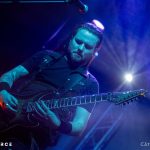 Sirenia