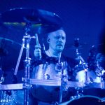 Sirenia