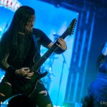 Sirenia