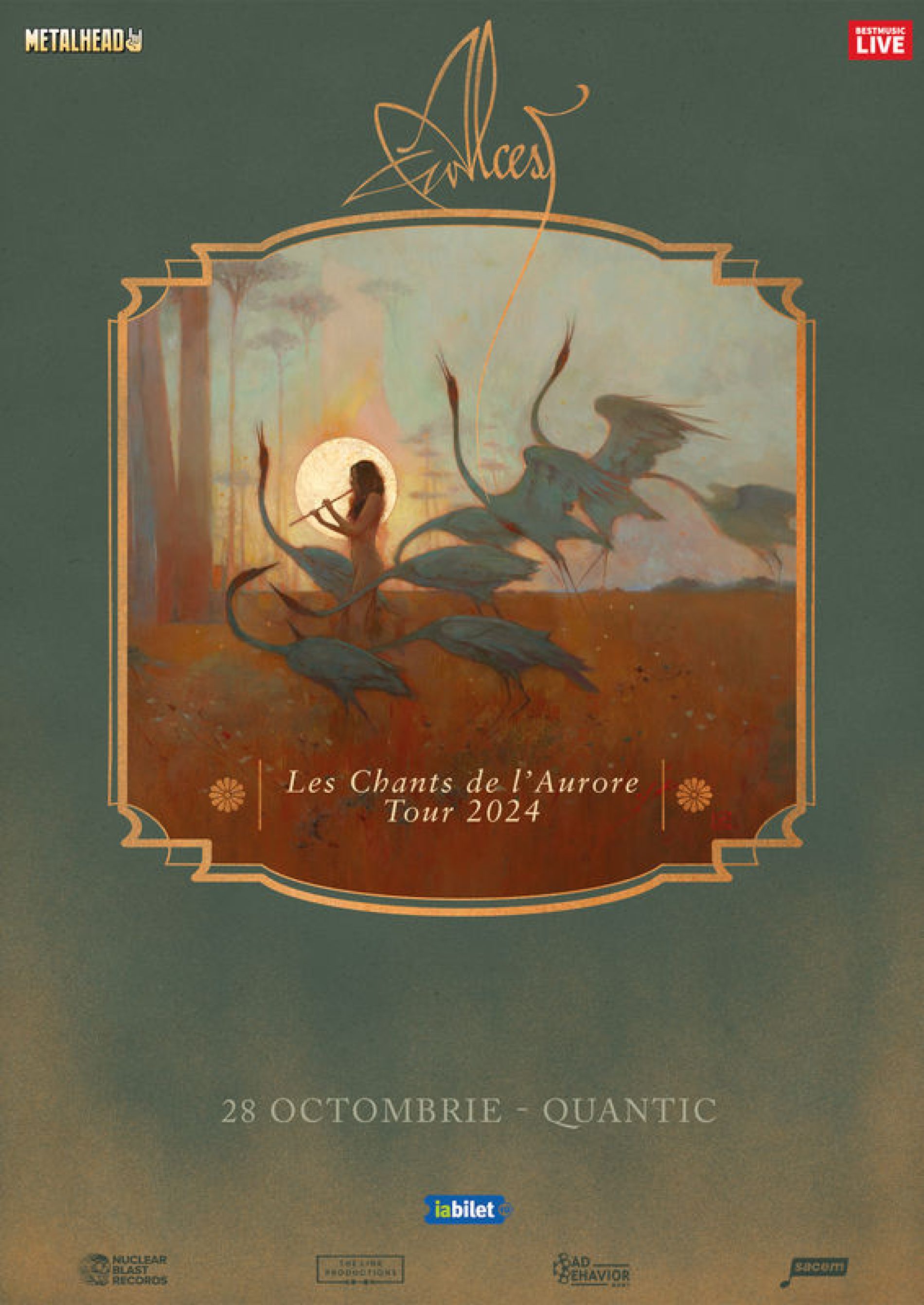 Alcest la Quantic: Program și reguli de acces