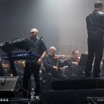 Cargo