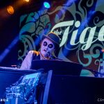 The Tiger Lillies