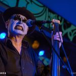 The Tiger Lillies
