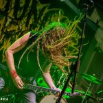 Jungle Rot