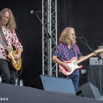 The Flower Kings