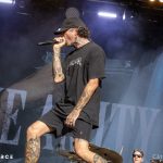 The Amity Affliction