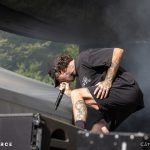 The Amity Affliction