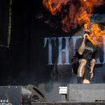 The Amity Affliction