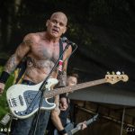 Cro-Mags