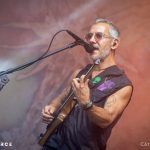Cynic