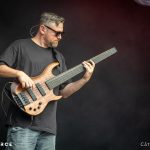 Cynic