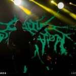 Cattle Decapitation