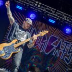 Cancer Bats