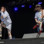 Cancer Bats
