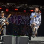Cancer Bats