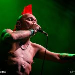 The Exploited