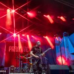 Parasite Inc.