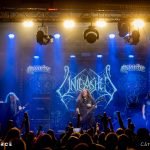 Unleashed