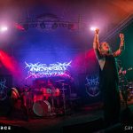 Ingested