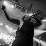 Ingested