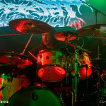 Ingested